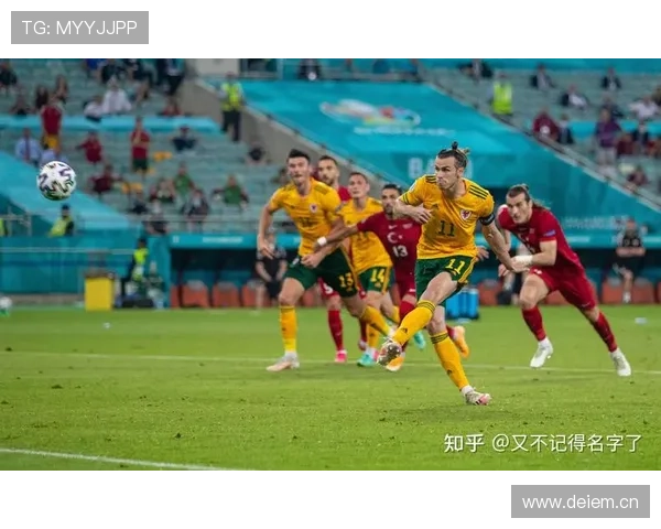 威尔士在欧洲杯预选赛中表现稳健,竞争力持续提升 威尔士在欧洲杯预选赛中表现稳健,竞争力持续提升